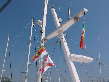 iabafc001015.jpg